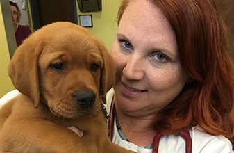 Dog and Cat Vaccinations in Decatur, GA