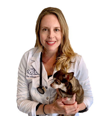 Veterinarians and Animal Hospital in Decatur, GA | The Village Vets